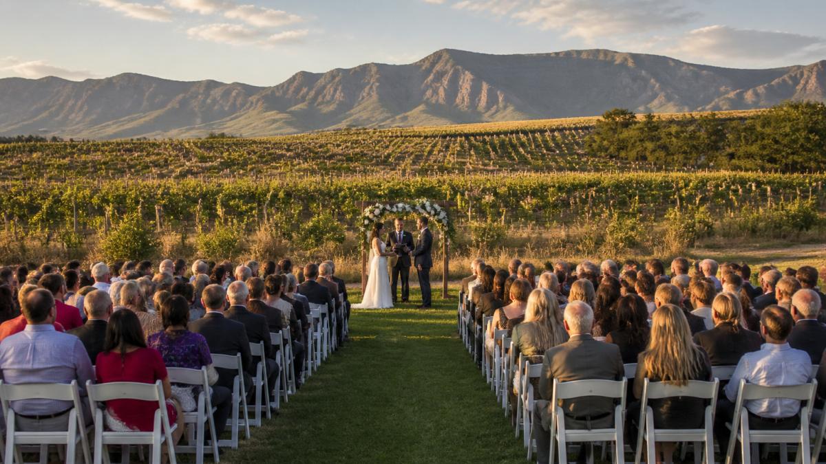Wide-angle view of a vineyard wedding ceremony setup with guests seated on a lawn facing an altar, working grapevines visible in the background, and mountain peaks framing the horizon at golden hour
