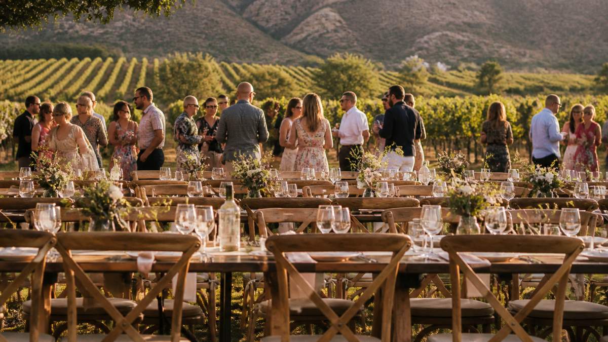 Guests mingling at elegant winery event spaces for 75 guests amidst sunlit vineyard rows at Maison La Belle Vie.